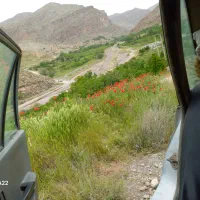 بوم گردی و سوئیت‌ در روستای امرودک هزارمسجد