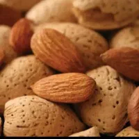 خرید و فروش بادام نقدی