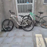 دو عدد دوچرخه