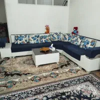 همخونه هم خانه همخانه