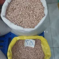 حبوبات و روغن باکیفیت و با قیمت مناسب با کالابرگ