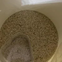 برنج درجه یک لنجان