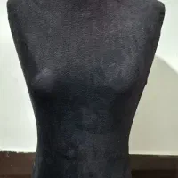 5عددمانکن سوزن خور