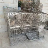 قفس پرنده ،جا دون و آبی به تعداد زیاد