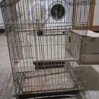 قفس کاسکویی