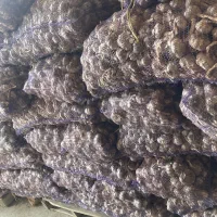 سیر|خوردنی و آشامیدنی|پارس‌آباد, |دیوار