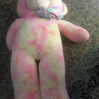 خرس خیلی بزرگ