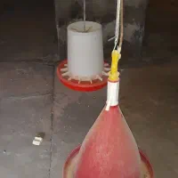 وسایل مرغ داری