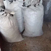 زعال