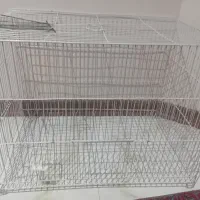 قفس
