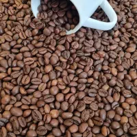 فروش دان قهوه کیفیت درجه یک