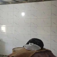 بنا کاشی کار با اکیب مجرب