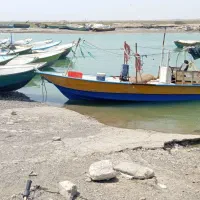 جلد صیادی درحد صفر فروش فوری