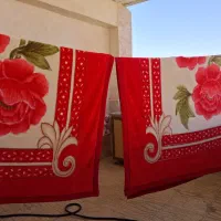 2عدد پتو دو لایه