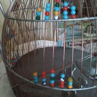 قفس سهره خاکی دست بافت