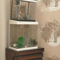 آکواریوم شیشه خم