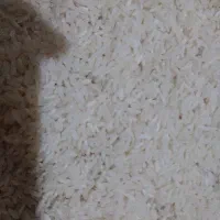 نیمدانه. تمیز. سوترینگ زده. هاشمی