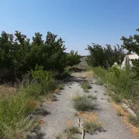 باغچه-200-متری-با-انشعابات