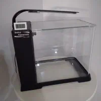 اکواریوم دلسا