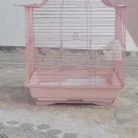 قفس پرنده