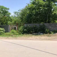 فروش زمین ۳۱۵ متری بافت مسکونی چالوس