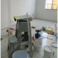 نقاش حرفه ای