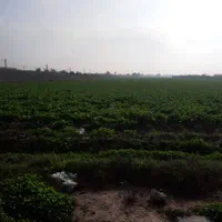 فروش زمین کشاورزی/۵۱هکتارسرجاده/غرب کرخه هواشناسی