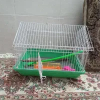 قفس نو باوسایل