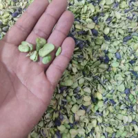 باقله سبز محلی