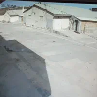 خانواده برای مرغداری مرغ مادر