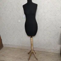 مانکن سوزن خور