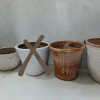 گل و گلدان طبیعی
