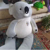 شوش فروش پاندا