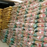 نیروی کار فعال آقا