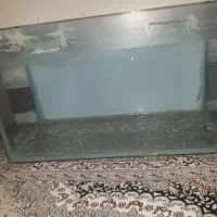 اکواریوم