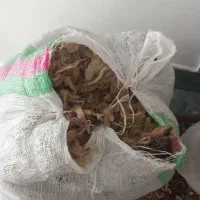 پشم گوسفندی با لحاف تک نفره