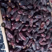 خریدار خرما ربی درجه یک ۱۹۰ و مضافتی ۹۰