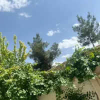 خط تلفن رند