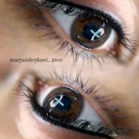 بن مژه حرفه ای