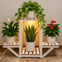 استند چوبی