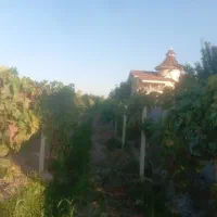باغچه بر شورکند