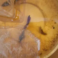 ماهی فایتر|ماهی|شیراز, شهرک فرهنگیان|دیوار