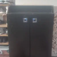 جاکفشی سالم