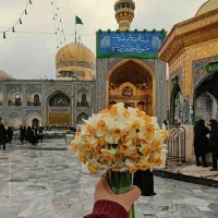 ویژه ویژه فروش بلیط