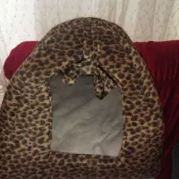 جای خواب گربه