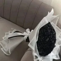 گل زیبایی ربانی