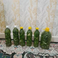 خیارشور آبسرده درجه یک