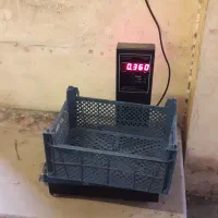 قالب سبد میوه