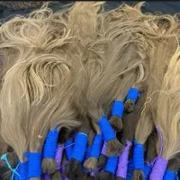 خریدار اصلی بدون واسطه و دلال