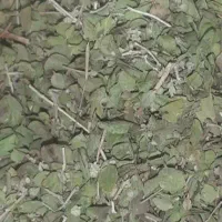 اویشن کوهی